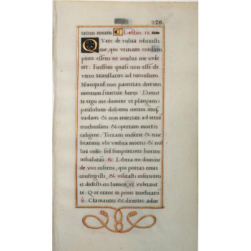 image lot 80577