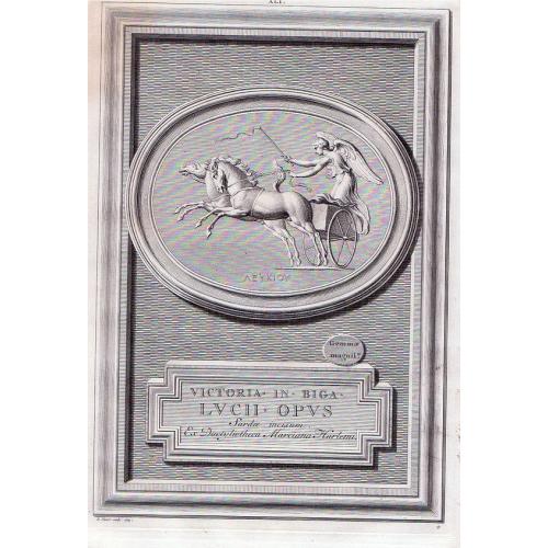 image lot 91935