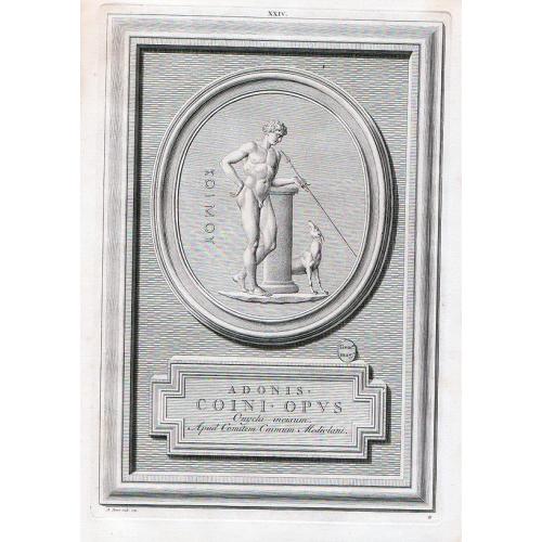 image lot 91937