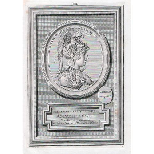 image lot 91940