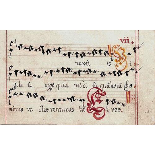 image lot 99169