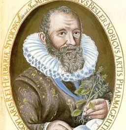 Besler
