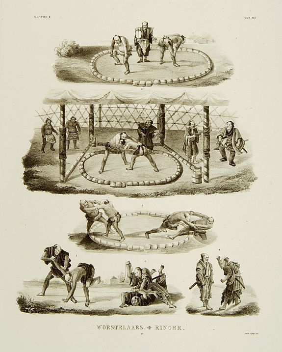 4956/503:Siebold Worstelaars - Ringer