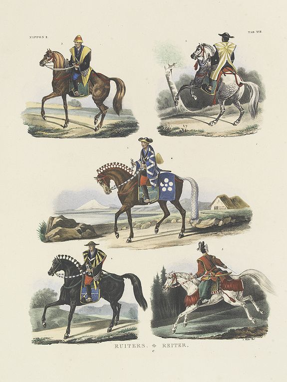 27711/503:Siebold RUITERS. REITER. Tab. XVII.