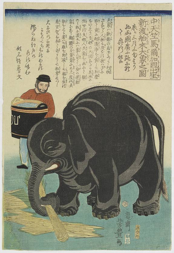 31460/510:YokohamaPrints Great Elephant Imported from Central India.