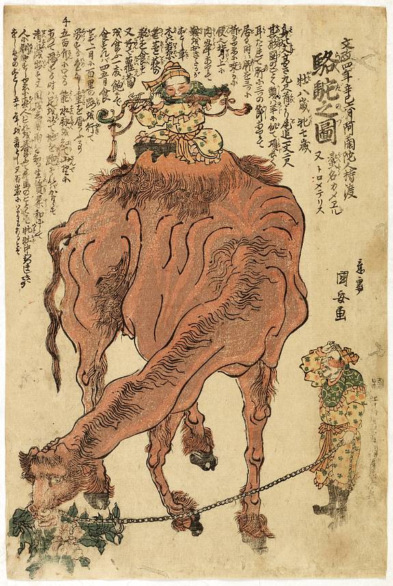 32191/505:NagasakiPrints Rakuda no zu [Camel]