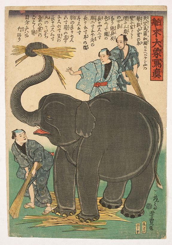 34176/510:YokohamaPrints  Newly Imported Elephant.