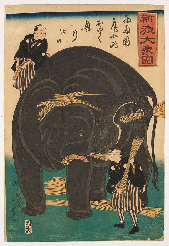 34177/510:YokohamaPrints  Newly Imported Elephant.