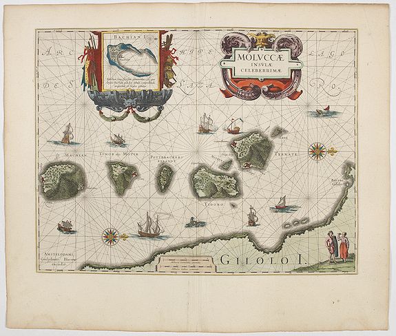 45153/250:Spices Moluccae Insulae Celeberrimae.