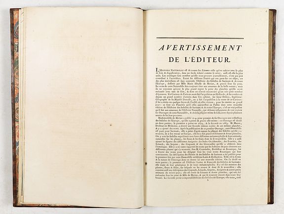 Maria Sibylla Merian