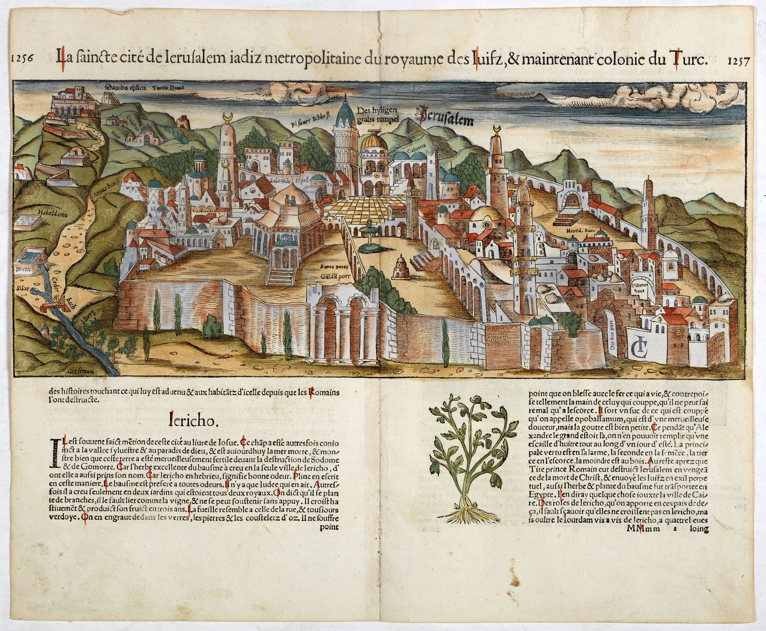 MÜNSTER, S., La Sainte cité de Jérusalem jadiz métropolitaine du royaume des juifz..., antique map, old maps