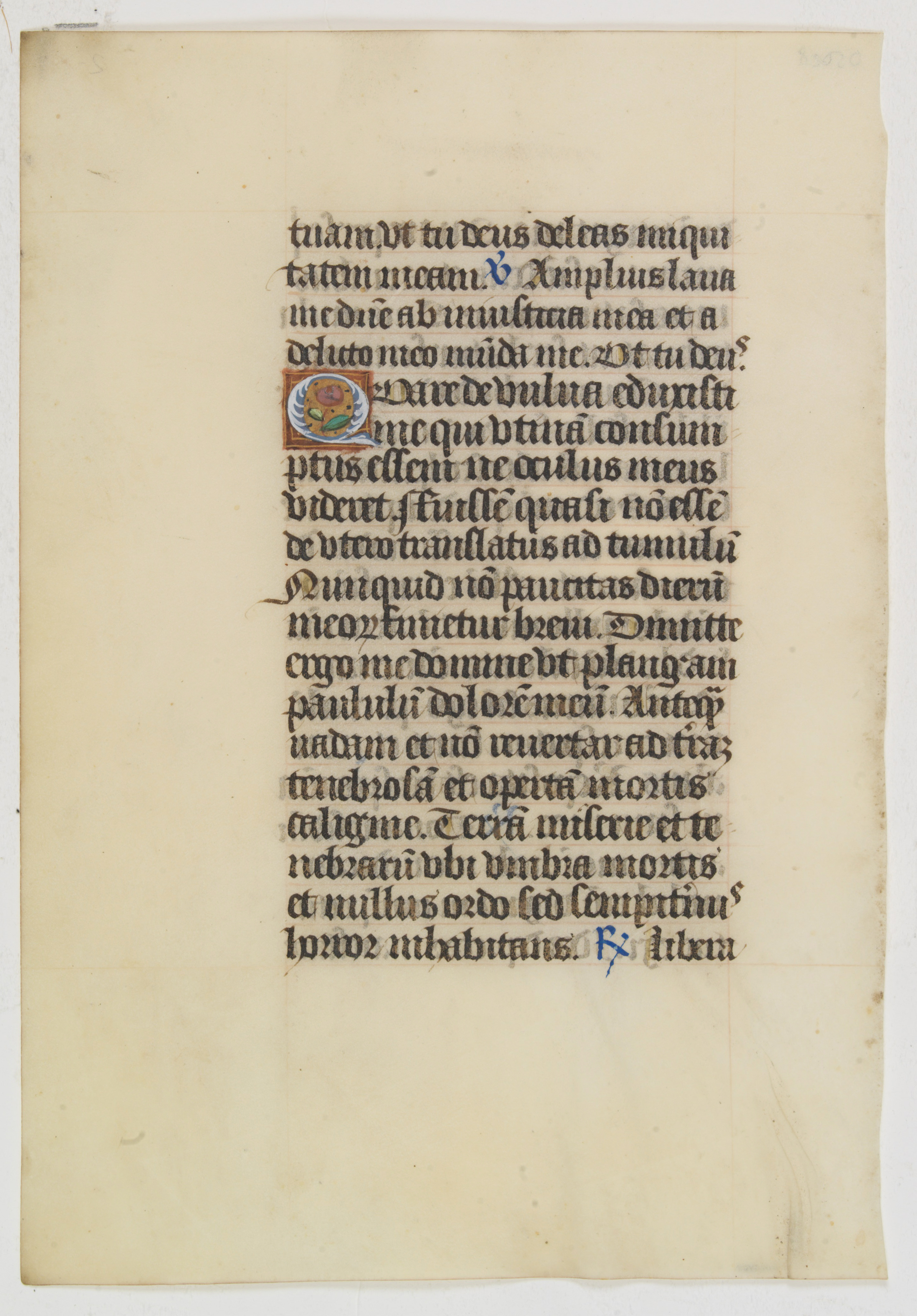 BOOK OF HOURS., Leaf on vellum from a manuscript Book of Hours., antique map, old maps