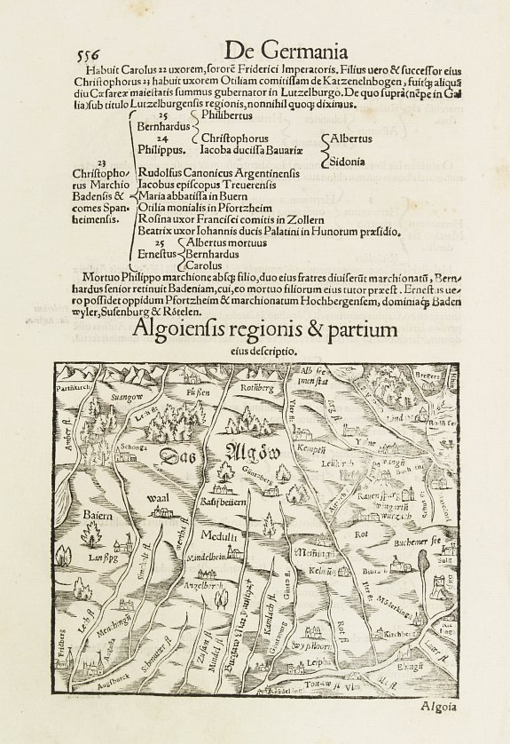 MÜNSTER, S., Algoiensis Regionis et Partium., antique map, old maps