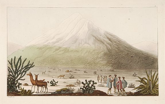 FERRARIO, G., Le Chimborazo., antique map, old maps