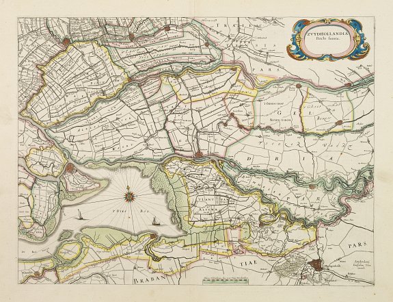 BLAEU, W., Zuydhollandia stricte sumta., antique map, old maps