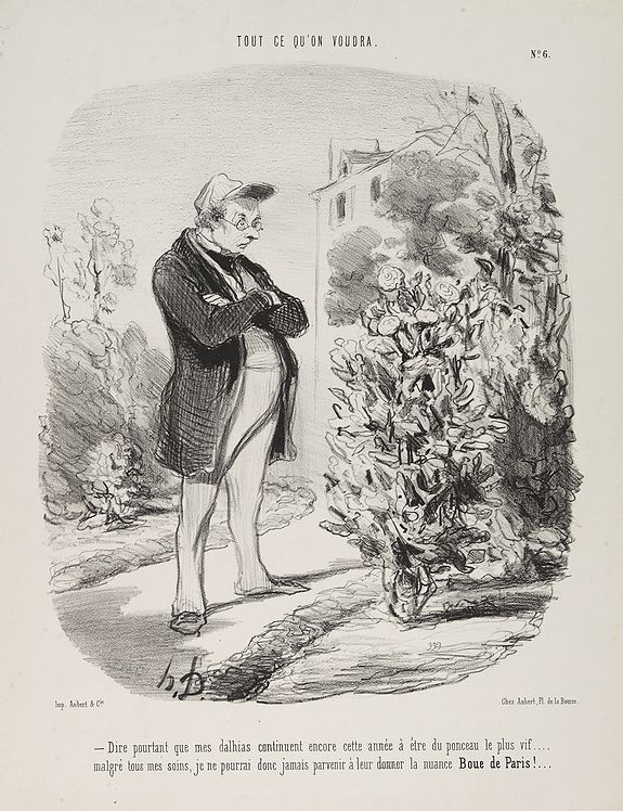 DAUMIER, H., Dire pourtant que mes dahlias continuent encore cette année à être du ponceau le plus vif . . . . malgré tous mes soins, je ne pourrai donc jamais parvenir à leur donner la nuance Boue de Paris !. (Plate 6 from Tout ce qu'on voudra.), antique map, old maps