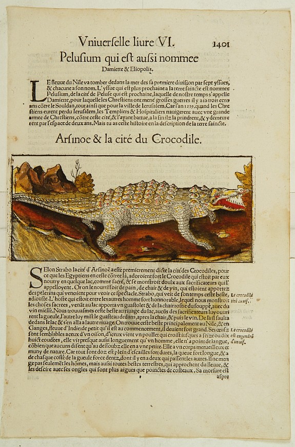 MÜNSTER,S., Crocodile and the town of Alexandrie., antique map, old maps
