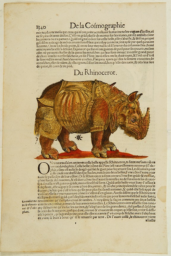 MÜNSTER,S., Rhino. On verso elephant., antique map, old maps