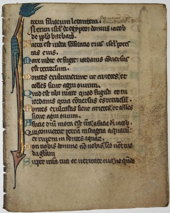BREVIARY, Leaf on vellum from a manuscript Breviary., antique map, old maps