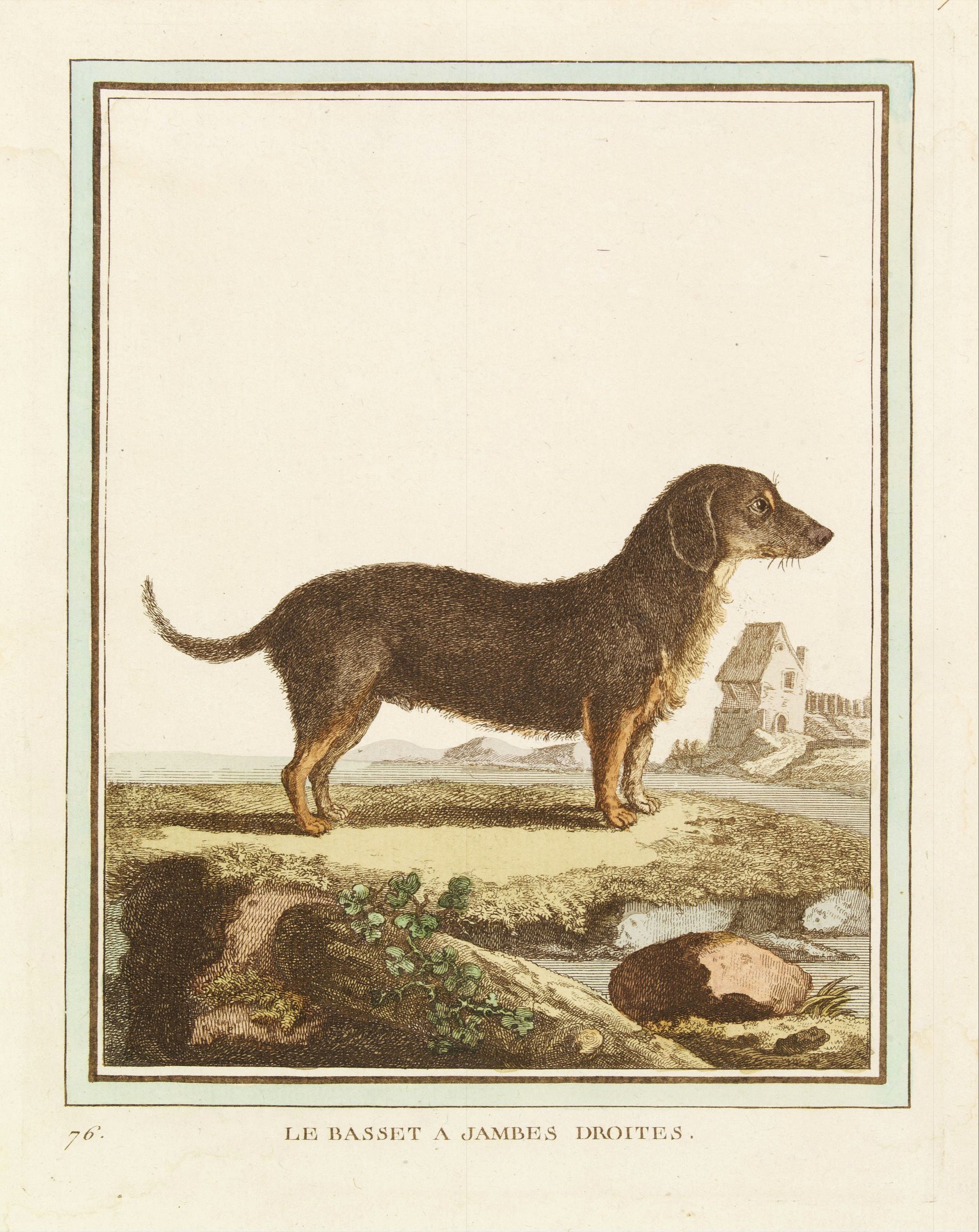 DE SÈVE, After Jacques (active 1742-1788), Le Basset à jambes droites., antique map, old maps