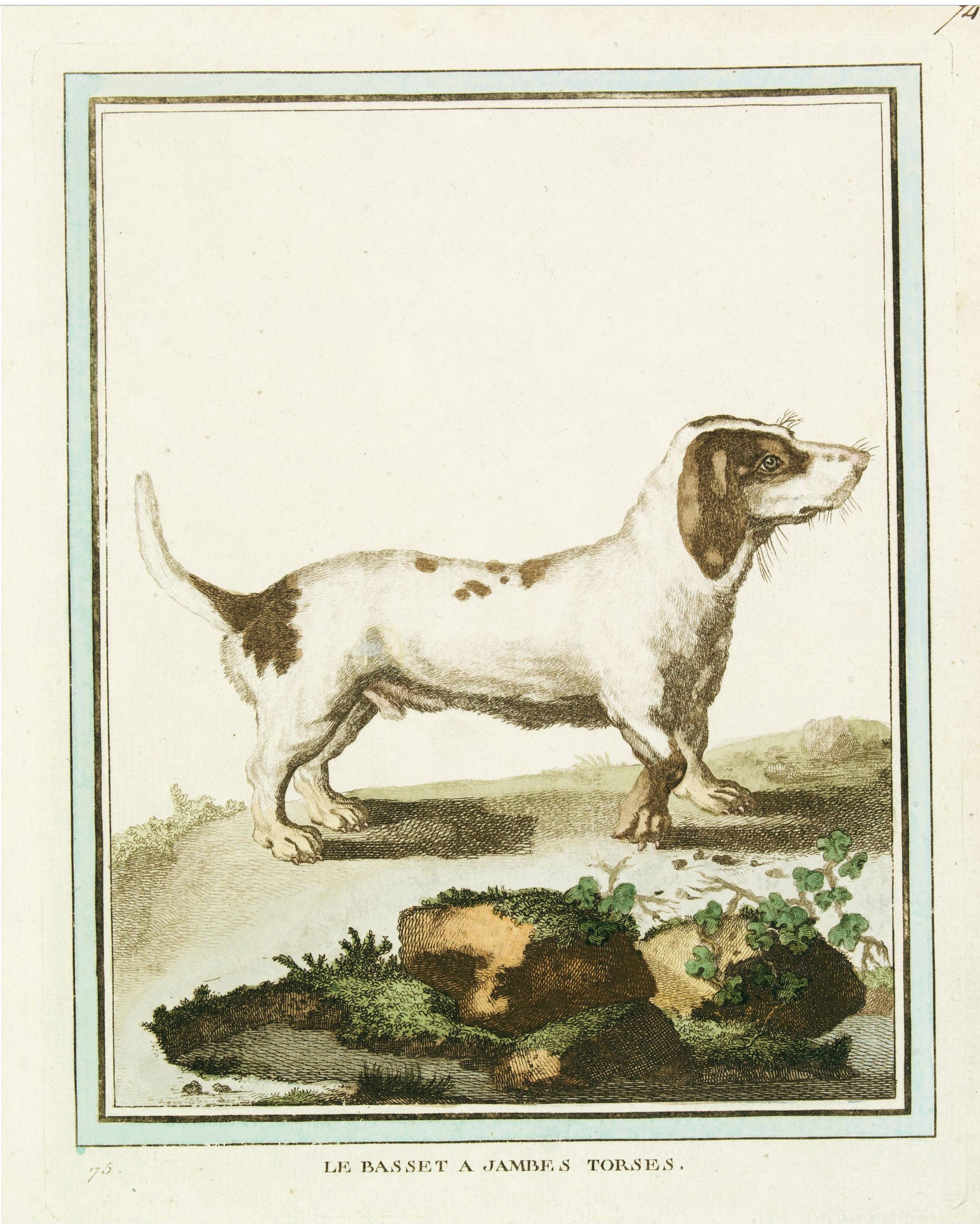 DE SÈVE, After Jacques (active 1742-1788), Le Basset à jambes Torses., antique map, old maps