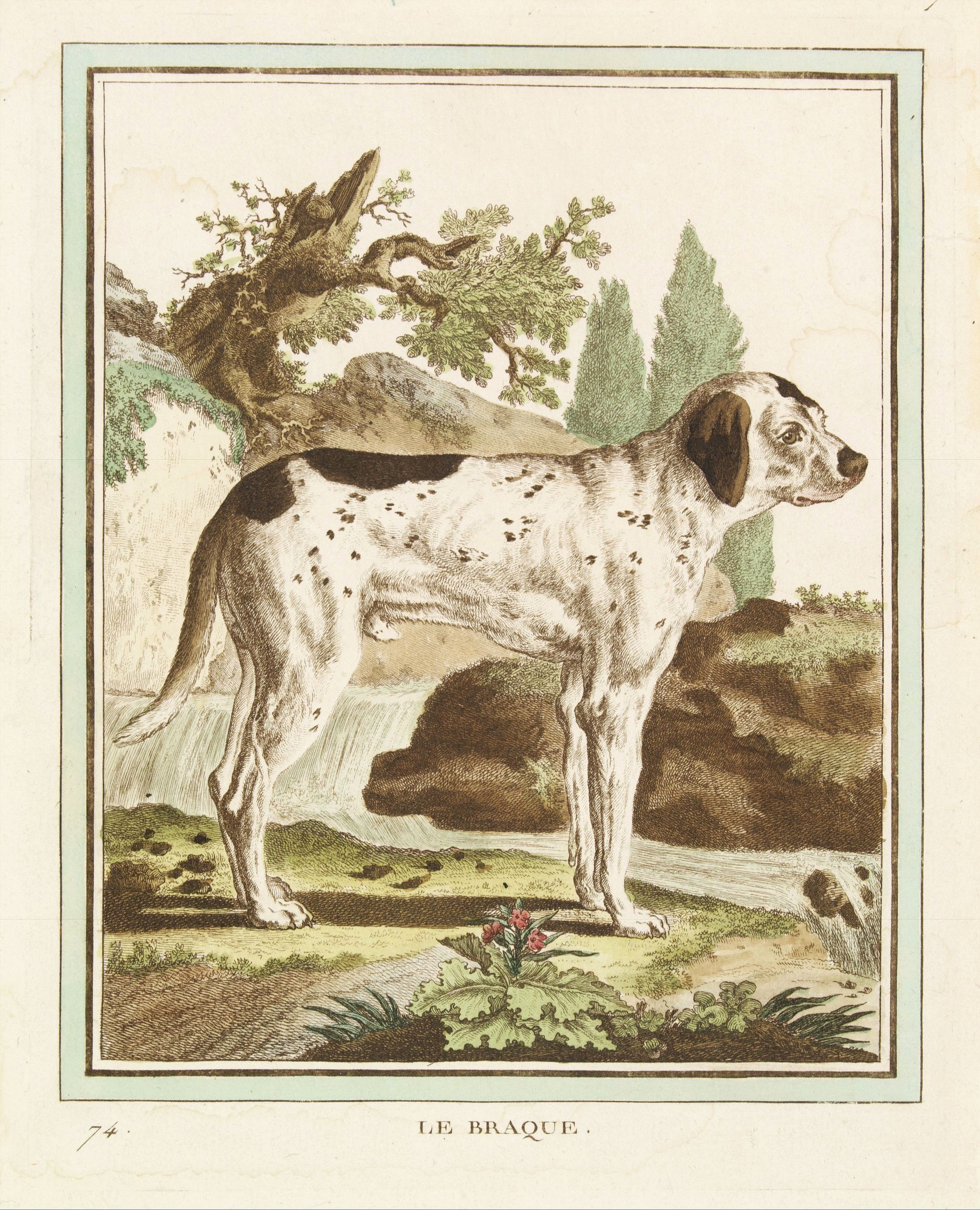 DE SÈVE, After Jacques (active 1742-1788), Le Braque., antique map, old maps