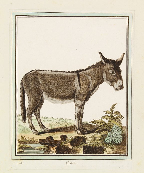 DE SÈVE, After Jacques (active 1742-1788), L'Âne., antique map, old maps