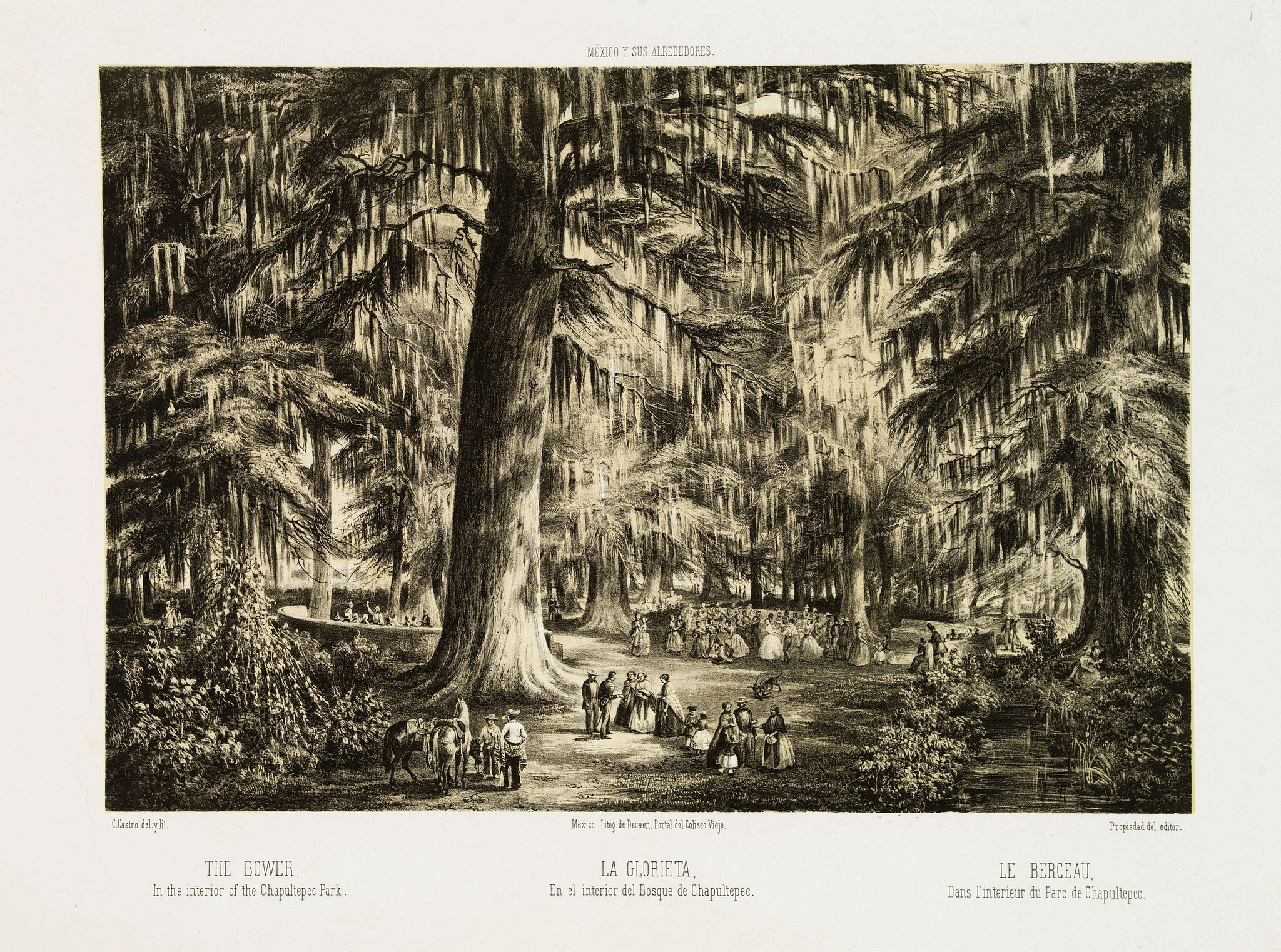 DECAEN, J. A. / CASTRO, C., La Glorieta, en el interior del bosque de Chapultepec. - The Bower. In the interior of the Chapultepec Park., antique map, old maps