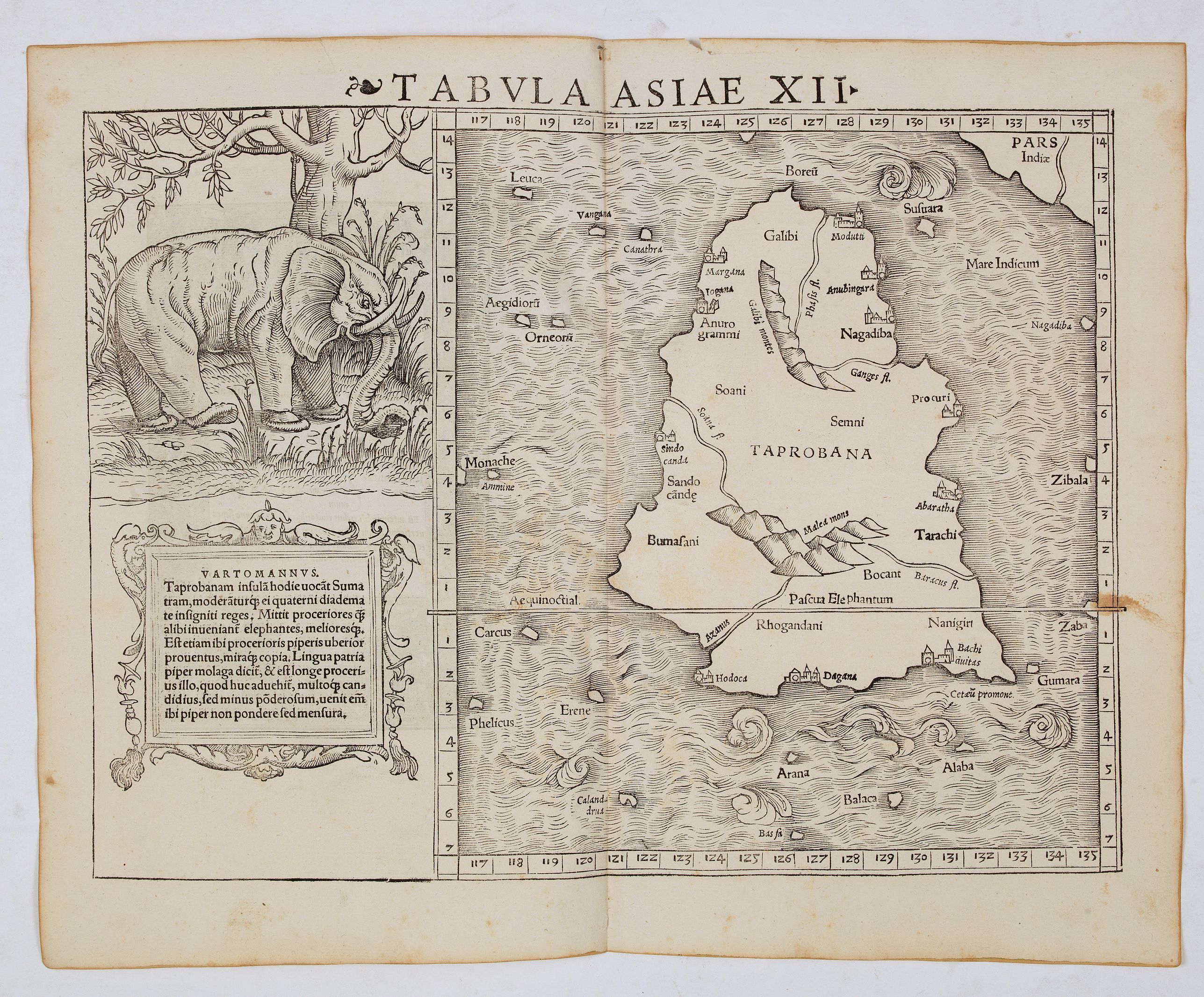 MÜNSTER, S., Tabula Asiae XII (Sri Lanka, with Elephant), antique map, old maps