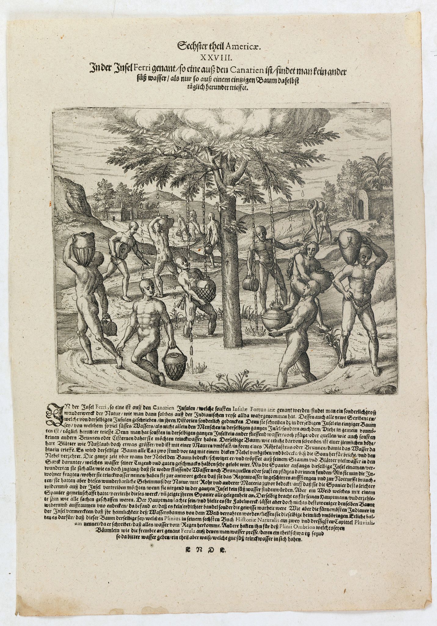 DE BRY, Th., In der Insel Ferri genandt so eine auss den Canarien ist findet man kein ander süss wasser als nur so auss einem eintzigen Baum daselbst täglich herunder trieffet., antique map, old maps