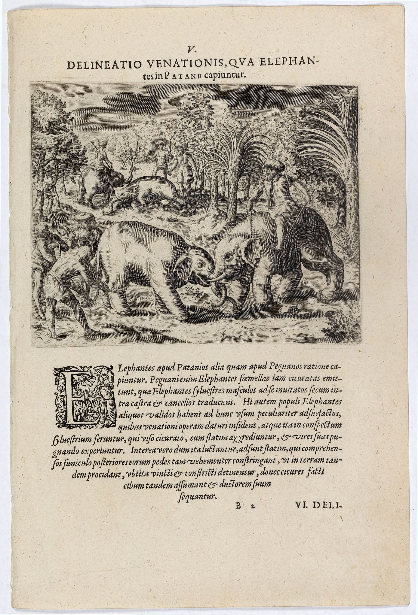 DE BRY, Th., Delineatio Venationis, Qua Elephantes Patane Capiuntur. (Capturing elephants), antique map, old maps