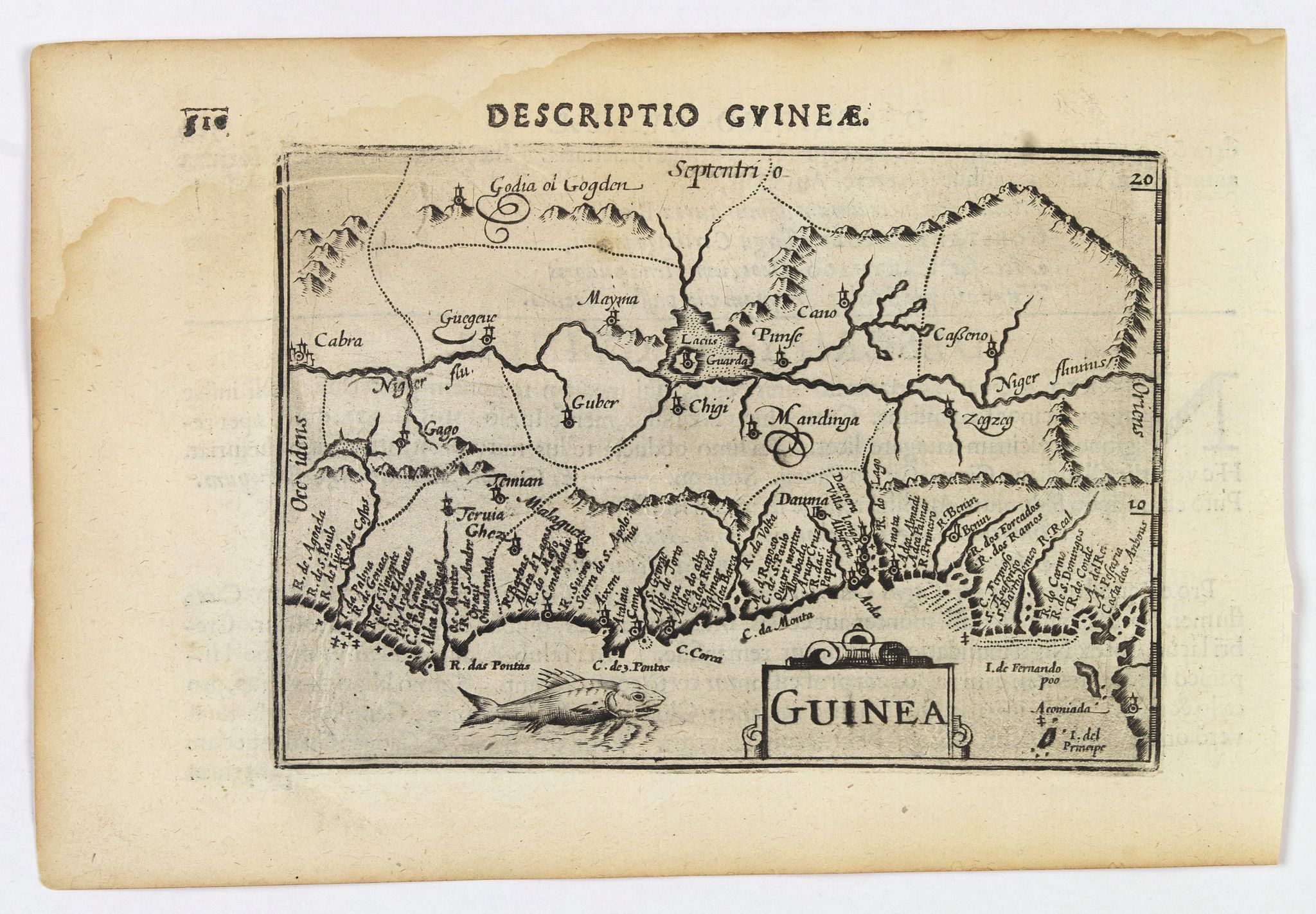 LANGENES, B. / BERTIUS, P., Guinea., antique map, old maps