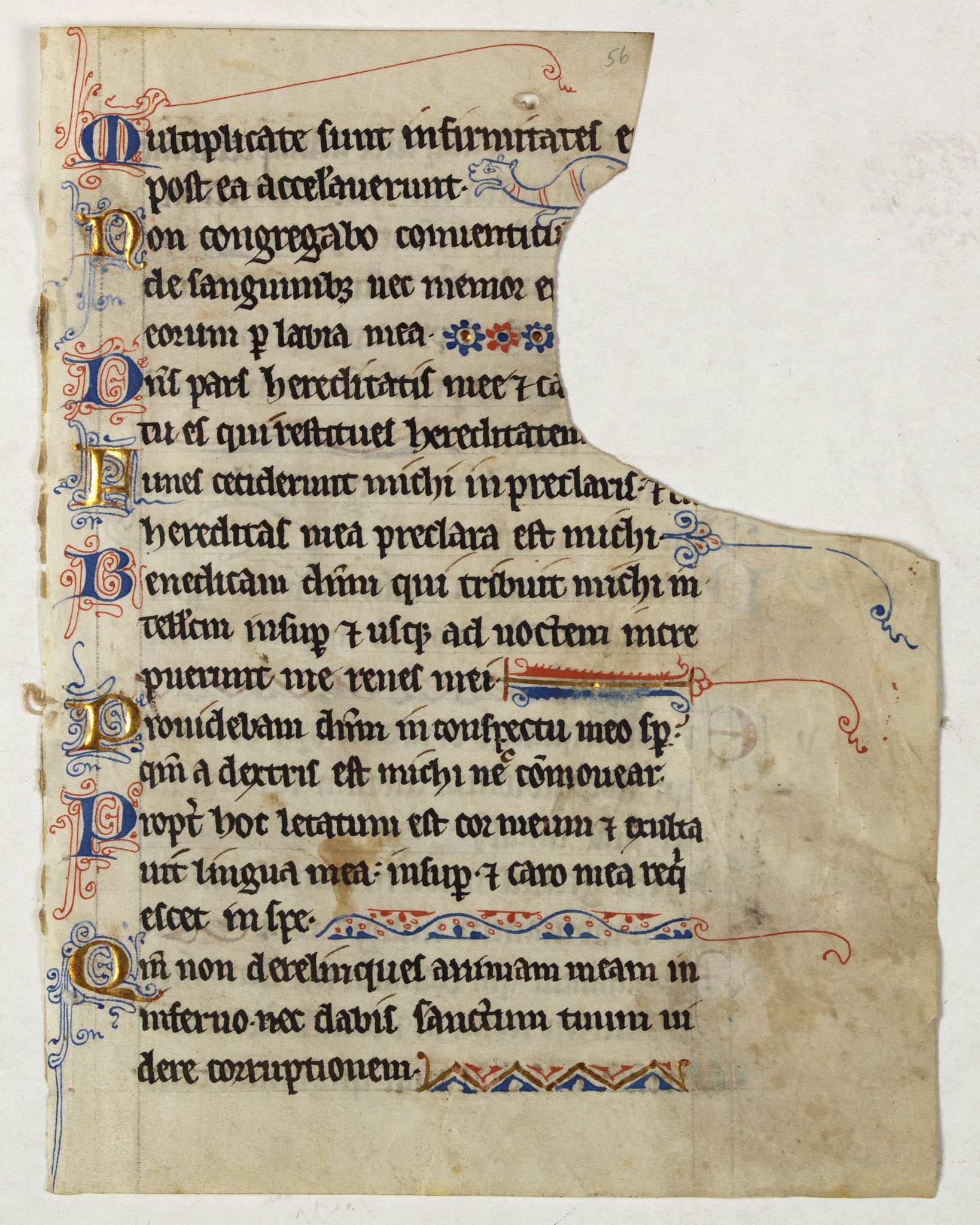 ANONYMOUS, Illuminated leaf from a lithurgical Psalter., antique map, old maps