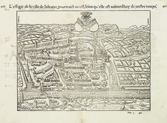 MÜNSTER, S., L'effigie de la ville de Saleurre. . . (Solothum), antique map, old maps