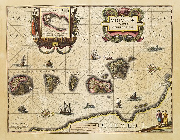 BLAEU,W., MOLUCCAE Insulae Celeberrimae., antique map, old maps