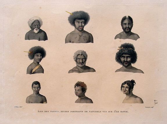 PELLION, A., Îles des Papous. Divers portraits de naturels vus sur l'Île Rawak., antique map, old maps