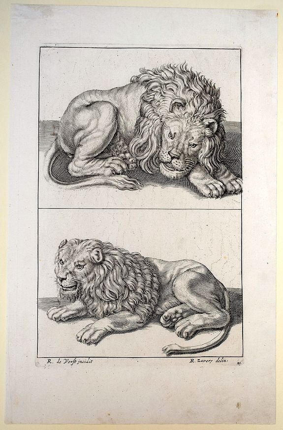 Saverus, R./ van Voerst, R., 'Lions'., antique map, old maps