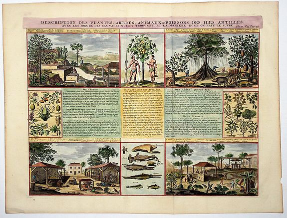 CHATELAIN, Henri., Descriptions des Plantes, Arbres, Animaux & Poissons des Iles Antilles., antique map, old maps