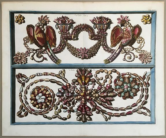 SEBA, Albertus / BAKKER, F. de, Mussels arranged in a Baroque style - de Derde Lade, de Vierde Lade., antique map, old maps
