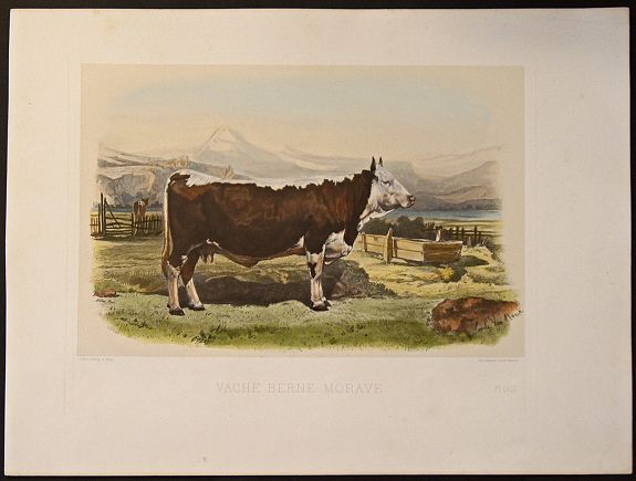 LEMERCIER, J., Vache Berne - Murave., antique map, old maps