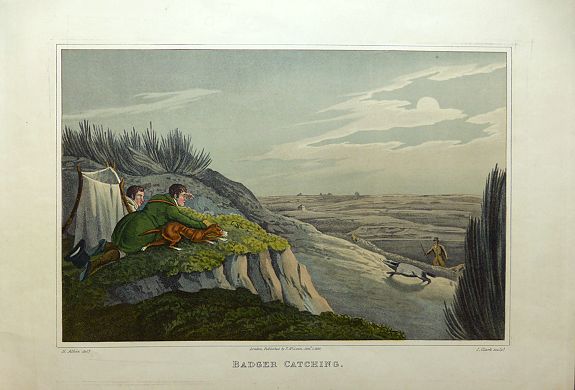 ALKEN, Henry Thomas., Badger Catching. , antique map, old maps