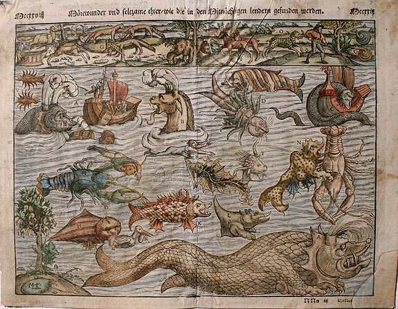 MUNSTER, S., Meerwunder und Seltzame Thier., antique map, old maps