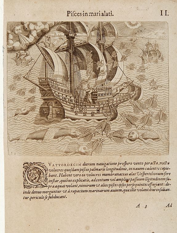 DE BRY,Th., Pisces in Marialati., antique map, old maps