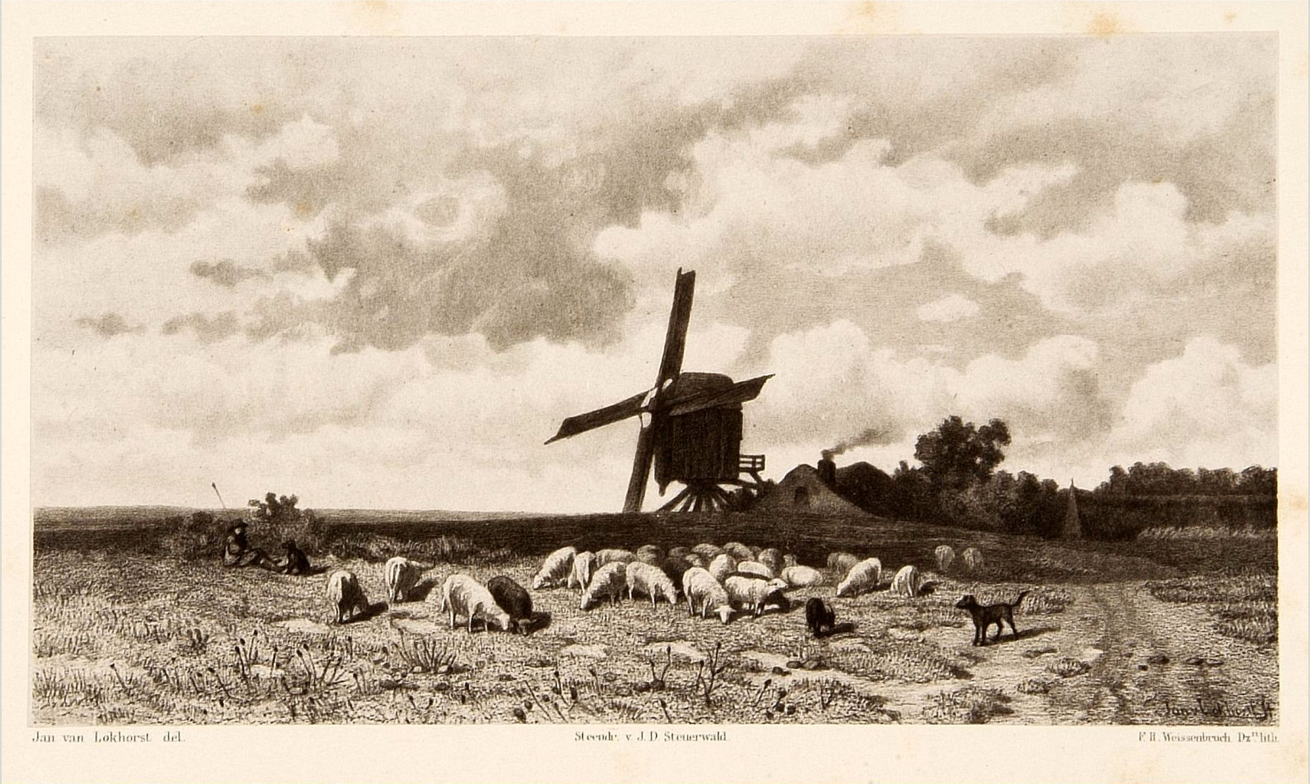 WEISSENBRUCH, F.H., Dutch windmill with sheeps., antique map, old maps
