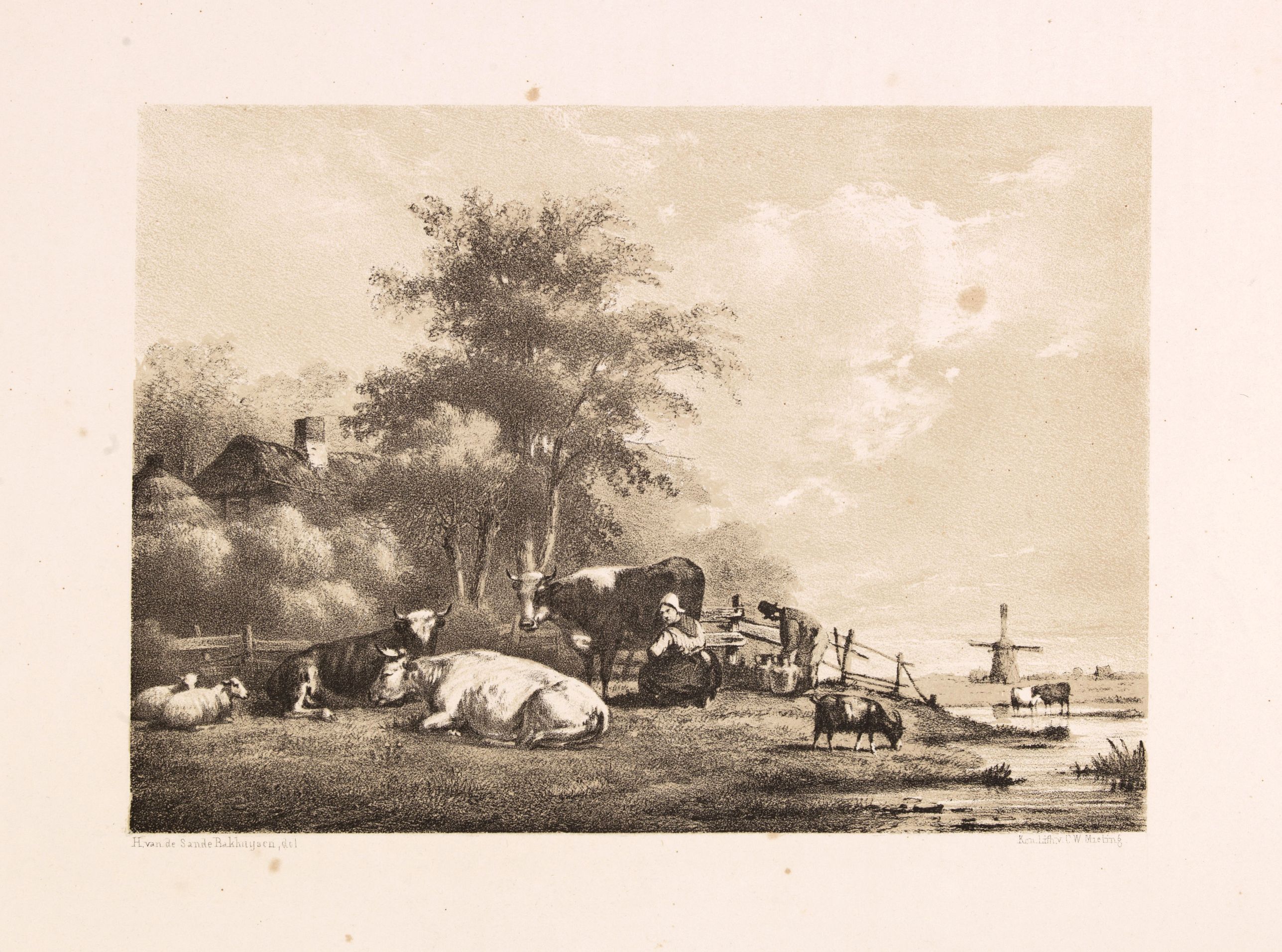 MIELING, C.W., Dutch landscape with cows and windmill., antique map, old maps