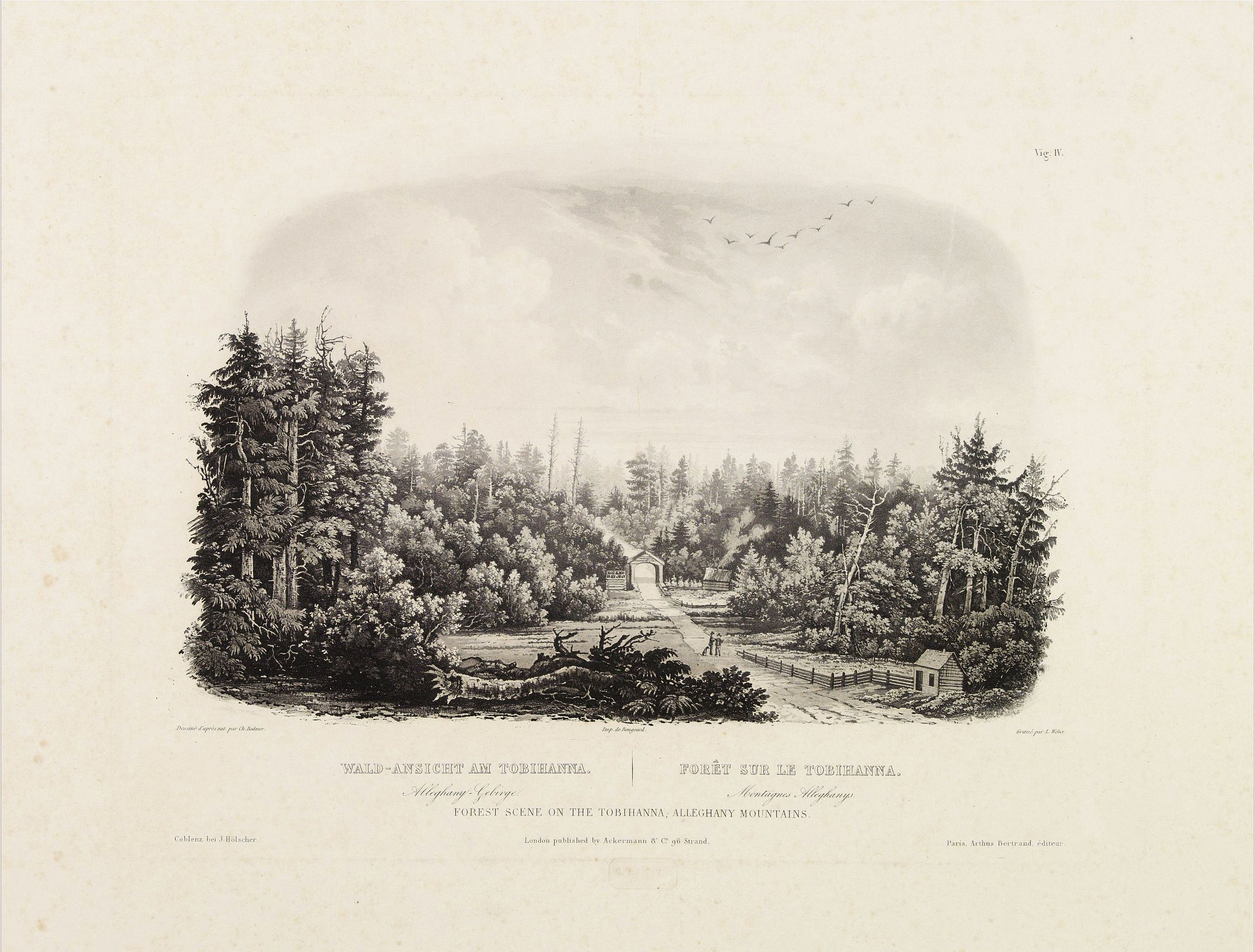 BODMER, Karl, Forest scene on the Tobihanna Alleghany Mountains., antique map, old maps