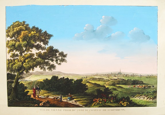 BANCE & SCHROTH, Vue de Vienne prise du cote du chateau de Schonbrunn., antique map, old maps