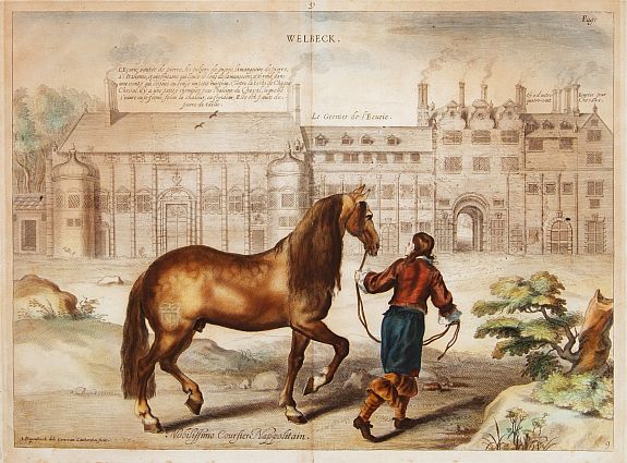 CAVENDISH,W., Welbeck. Nobilissimo Coursier Nappolitain. (9), antique map, old maps