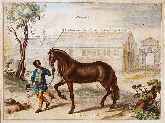 CAVENDISH,W., Welbeck. Mackomilia un Turke. (8), antique map, old maps