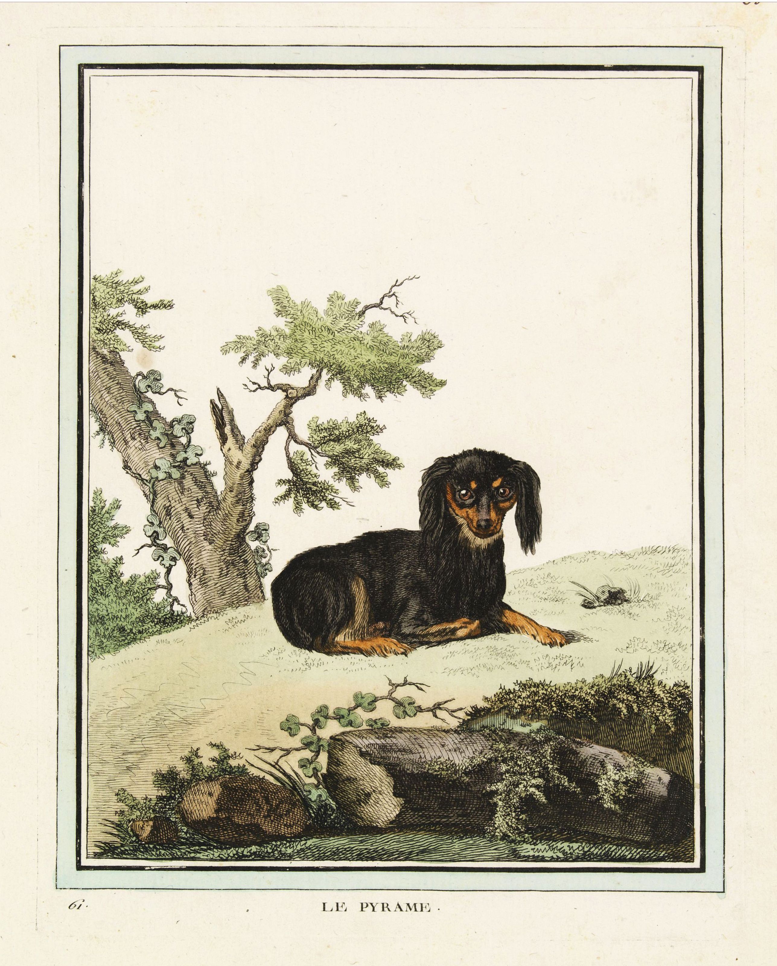 DE SÈVE, After Jacques, Le Pyrame., antique map, old maps